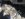0F79107F-B703-4334-B451-2B3F3B129505.jpeg
