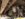 0D0013C2-9C8B-4742-9842-6491EA8362E2.jpeg