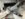 231F1F4F-4185-482E-A8A1-3EE581FF296A.jpeg