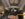 6DAA758B-1B50-4B34-BC70-1A98F213FDA2.jpeg