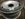 429492F5-DC32-4EC5-BB7B-8751400DC8D8.jpeg