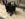 71AF734E-787E-41DA-819C-A5CD6FC5FEA6.jpeg