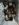 4B5A2E3C-510F-47CE-884E-4BEFAEFD2B51.jpeg