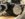 48B99B63-8B4B-4F9D-A493-003E4AB72475.jpeg