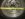 097D4C6C-B366-41D1-90DC-99C810D7B6C2.jpeg