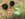 D4C22D2B-2593-47E4-BA77-63D51F58CA55.jpeg
