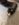 D6C0D1BC-FB1F-478E-903C-959765FEE087.jpeg