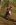 TOE_5836.jpg