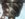 14F9999B-3DA4-41C5-B6C6-265804AA5246.jpeg