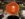 D94CF387-D583-4974-AA8E-839ABCD27F34.jpeg