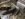 9BB44B72-8D5C-400B-9C08-D3FE9EF1BE6A.jpeg