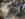 48665127-CBB1-4842-BE6E-C89F8DFFBB80.jpeg