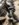 A2222DBB-7617-471A-BC52-AA616F4078DB.jpeg