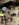 4B39A129-8A88-4AAD-A3AB-D125AE514186.jpeg