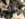 089B8802-2CE2-47E7-A459-8A53F15EA047.jpeg