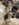 58EAF1B5-4C53-4C2C-9CE3-21C6A3C09B3A.jpeg