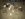 D05C6074-A9C7-4437-87D0-926AEA1CDA70.jpeg