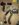 0BE2E10F-DCD9-42D8-8EC7-28CA4FE328AA.jpeg