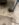 F8333F15-943C-424A-8975-B5B15E6605E3.jpeg