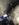 7EE82B15-9F10-4925-99B8-9E1322A03FA5.jpeg