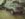 31A6C41F-C176-4650-98FA-E2CB37013859.jpeg