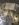 E2EC252D-9062-4FC8-ABF2-AD5D50F086C9.jpeg