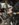 980B3655-B98D-47C2-9921-B3B239D5342B.jpeg
