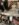 219AE613-CE5D-4B54-A647-081B2CA7AF50.jpeg