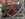 IMG_1139.jpeg