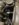 AE1578C9-DDDA-4496-ADF6-EA8C9740DA70.jpeg