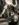 DD8CD88F-8B7E-4DD7-B5DA-7F87F41CCF3B.jpeg