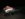 F435B0EF-380C-4768-B15A-ACF90C538529.jpeg