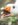 E404EAD2-945E-4E99-B468-BAFA60CE6EAD.jpeg