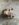D7FA99B0-9CB8-442C-B5EF-9A546F63B2B7.jpeg