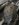 F4CD709A-7584-4176-854E-19007FA4C0D0.jpeg