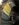 1B107EC6-3DAA-46D1-BCC4-4D2FE6E30919.jpeg