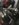 B82A5D91-EFE8-4FFC-8572-BD20A3B87B20.jpeg