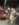 0AF7351A-40A3-46C4-BFE6-7AAEF10AA8E4.jpeg