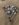 7BBD62C2-EEC5-4711-9476-E4E9DD65FC89.jpeg