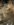 24290381-093D-4A39-9997-DC1DF65ED307.jpeg