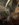6C06944C-3D68-4BE5-B93A-486BE11651CA.jpeg