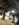 20BF590D-E753-499E-A50D-63B6CE850368.jpeg