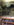 1969DD47-E458-4CD6-9109-CEDF3739C08F.jpeg