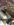 E33D5130-8522-4EBB-A44A-FF42E4C88466.jpeg