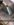 223297E0-AC33-4273-B3EF-7F383344D886.jpeg