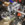 B273C37C-E37D-48E4-8794-BC74B23C07B1.jpeg