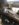 3A506737-37D0-443E-914F-E29E50245548.jpeg