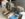 7493845D-D398-436E-9D62-317EB6BC92B9.jpeg
