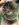 75746AA0-F531-4469-8257-38E9696628CC.jpeg