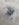 8536DB0C-A864-4CB9-AEDF-48C11E7BDD0F.jpeg